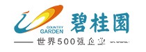 碧桂园控股有限公司